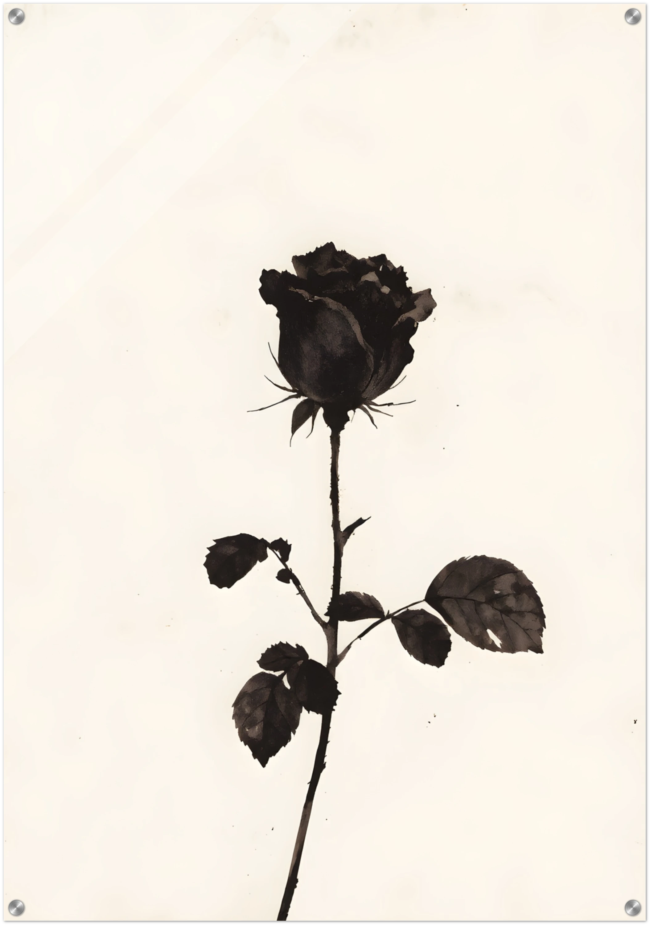 „Black Bloom“ – Vier Schatten einer Seele