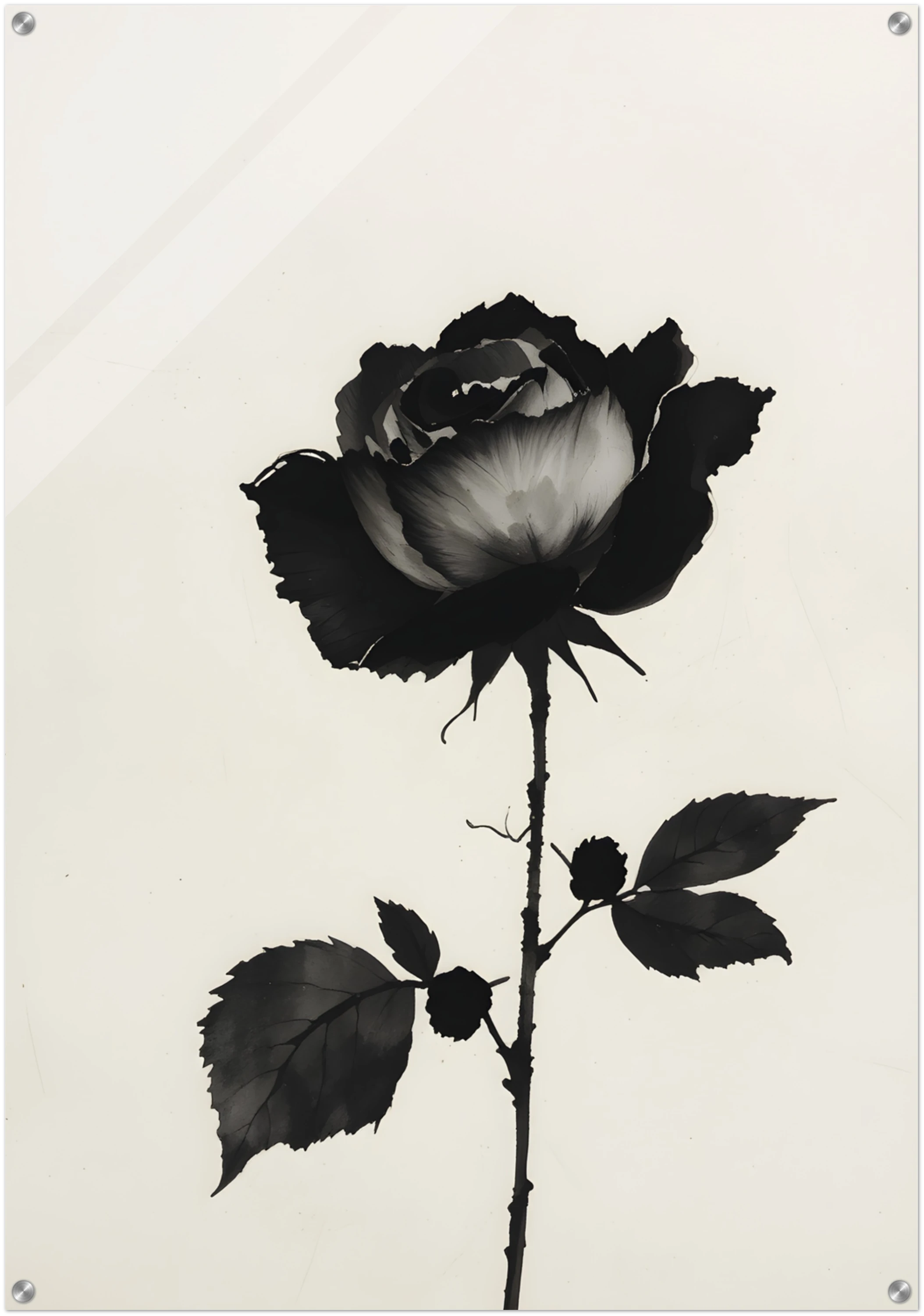 „Black Bloom“ – Vier Schatten einer Seele
