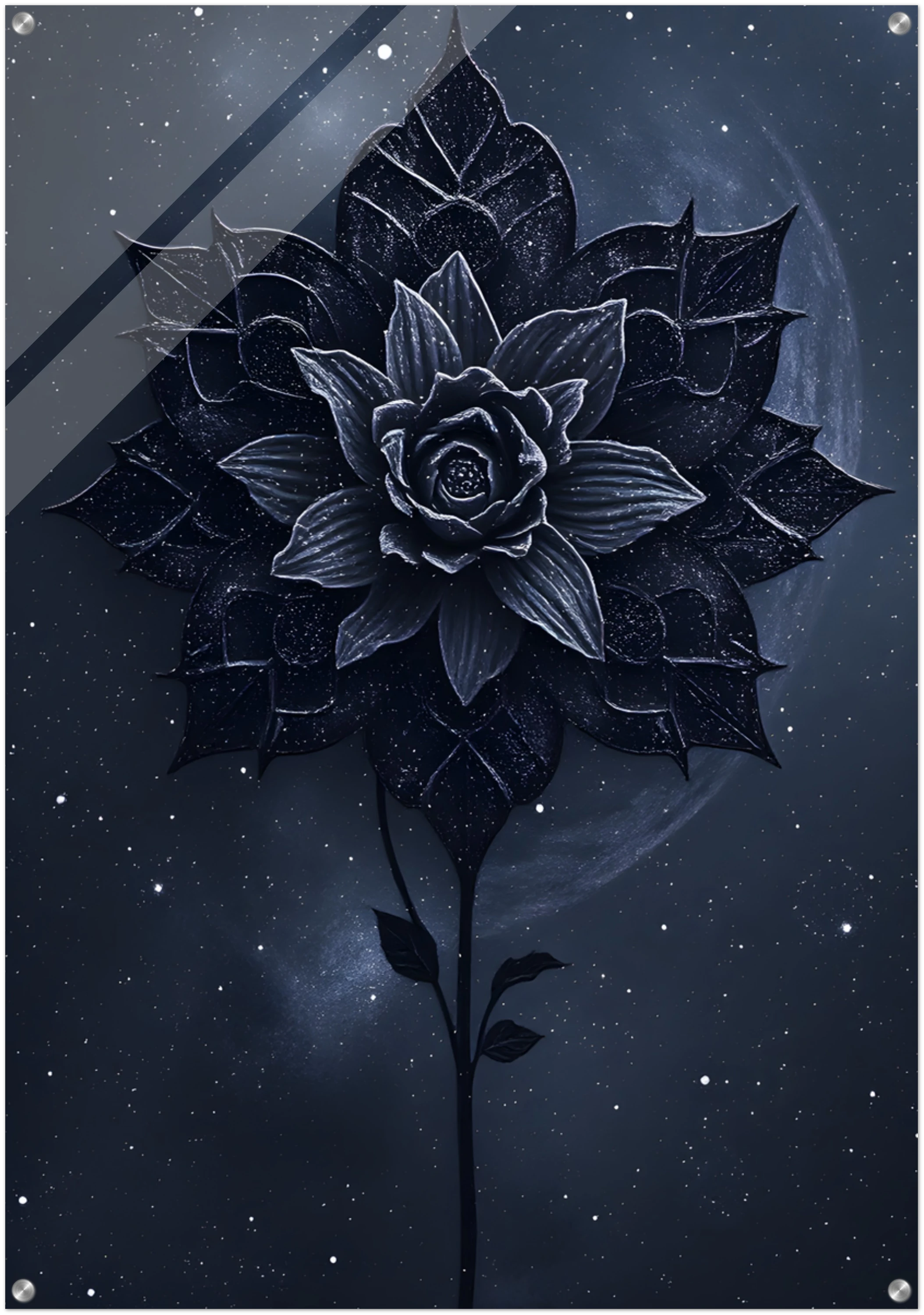 Nocturne in Bloom