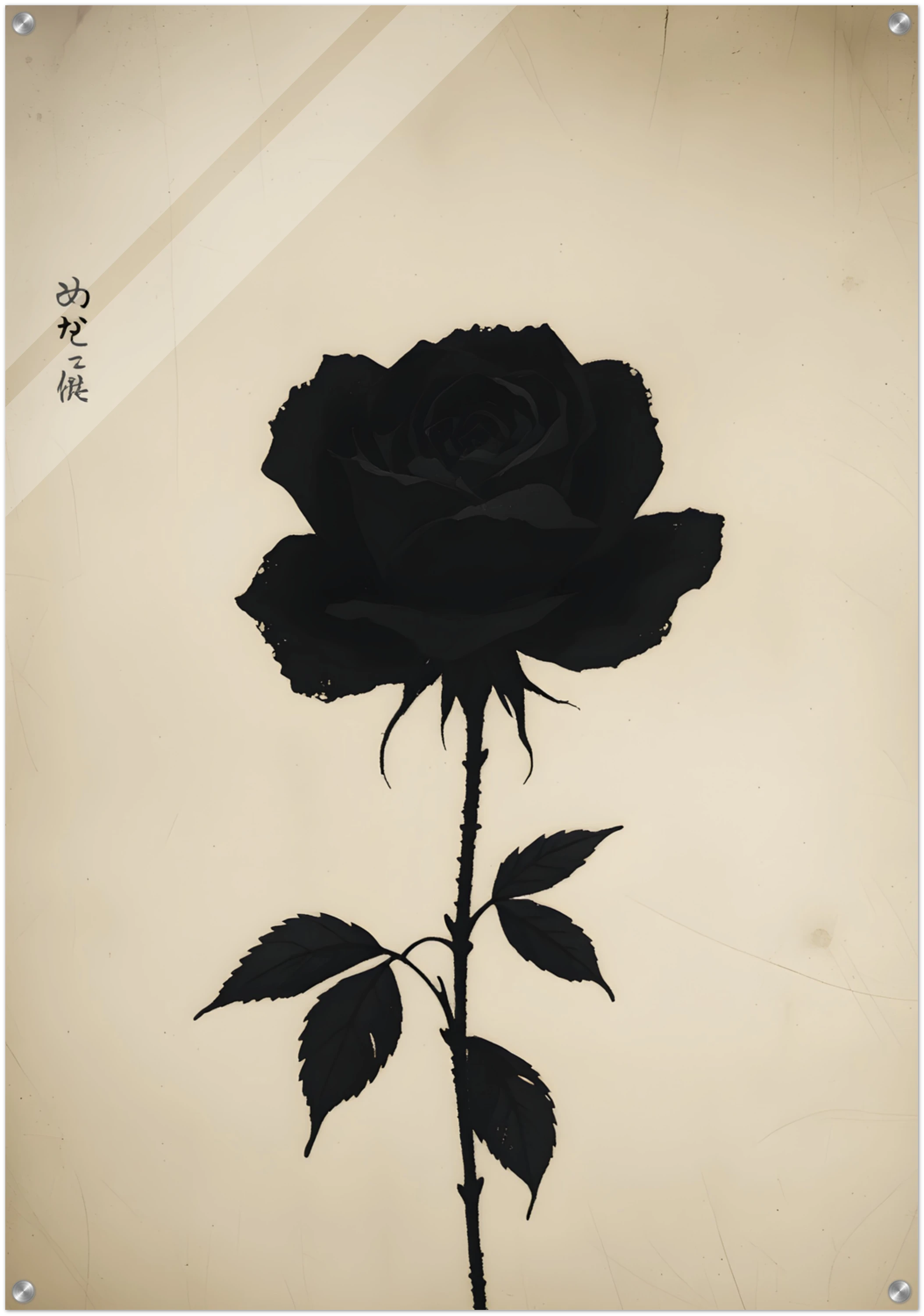 „Black Bloom“ – Vier Schatten einer Seele