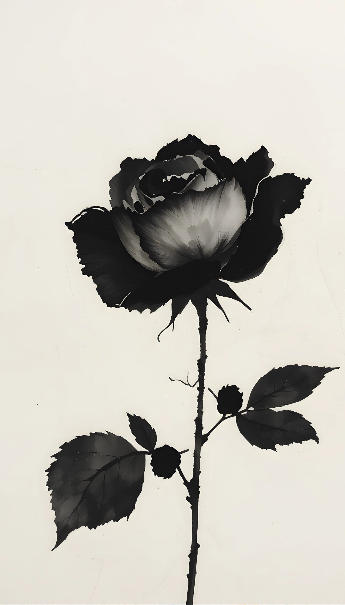 Black Rose – Art in Black and White | Acrylic Glass Fine Art Print