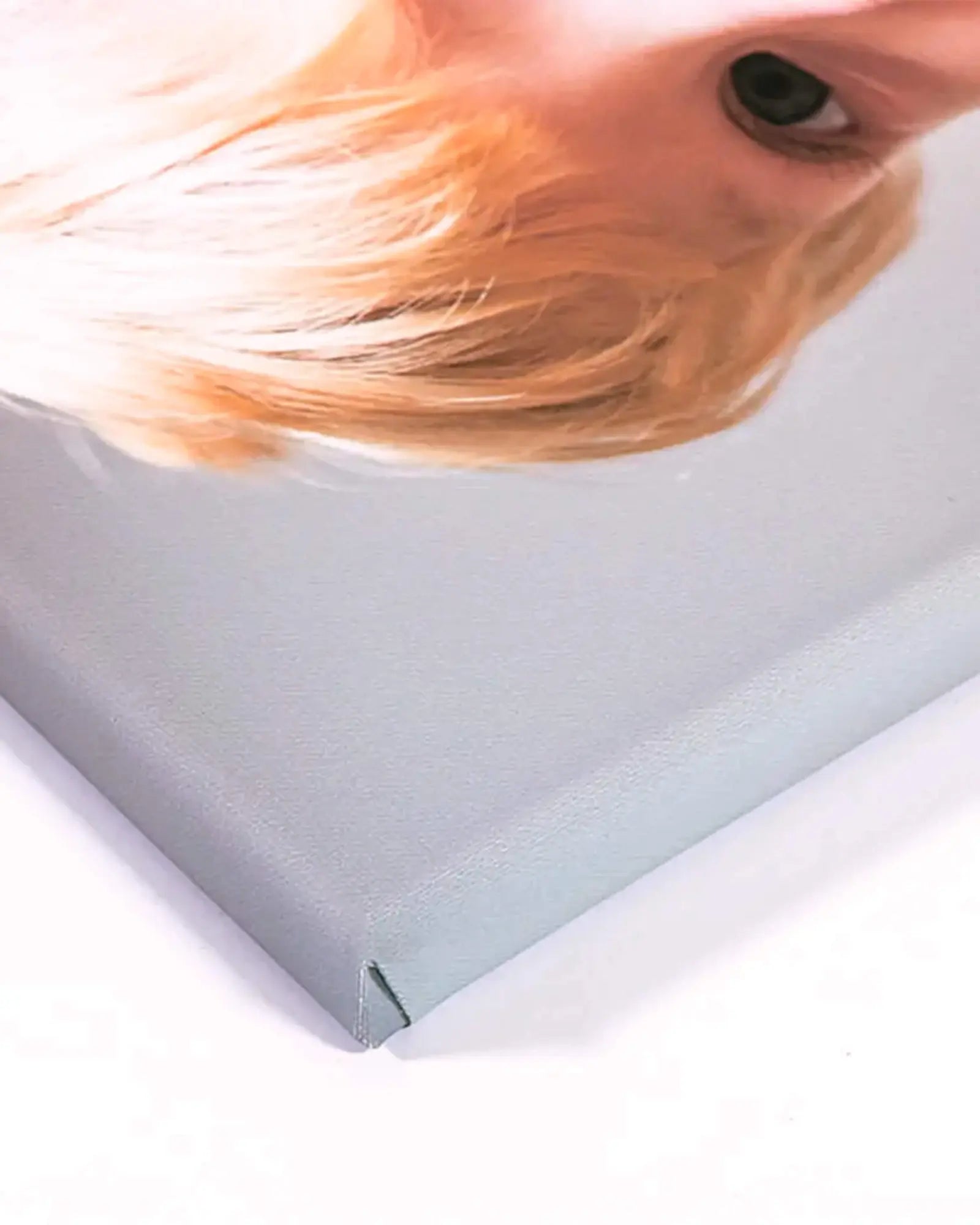 leinwand – allgemeines Materialbeispiel