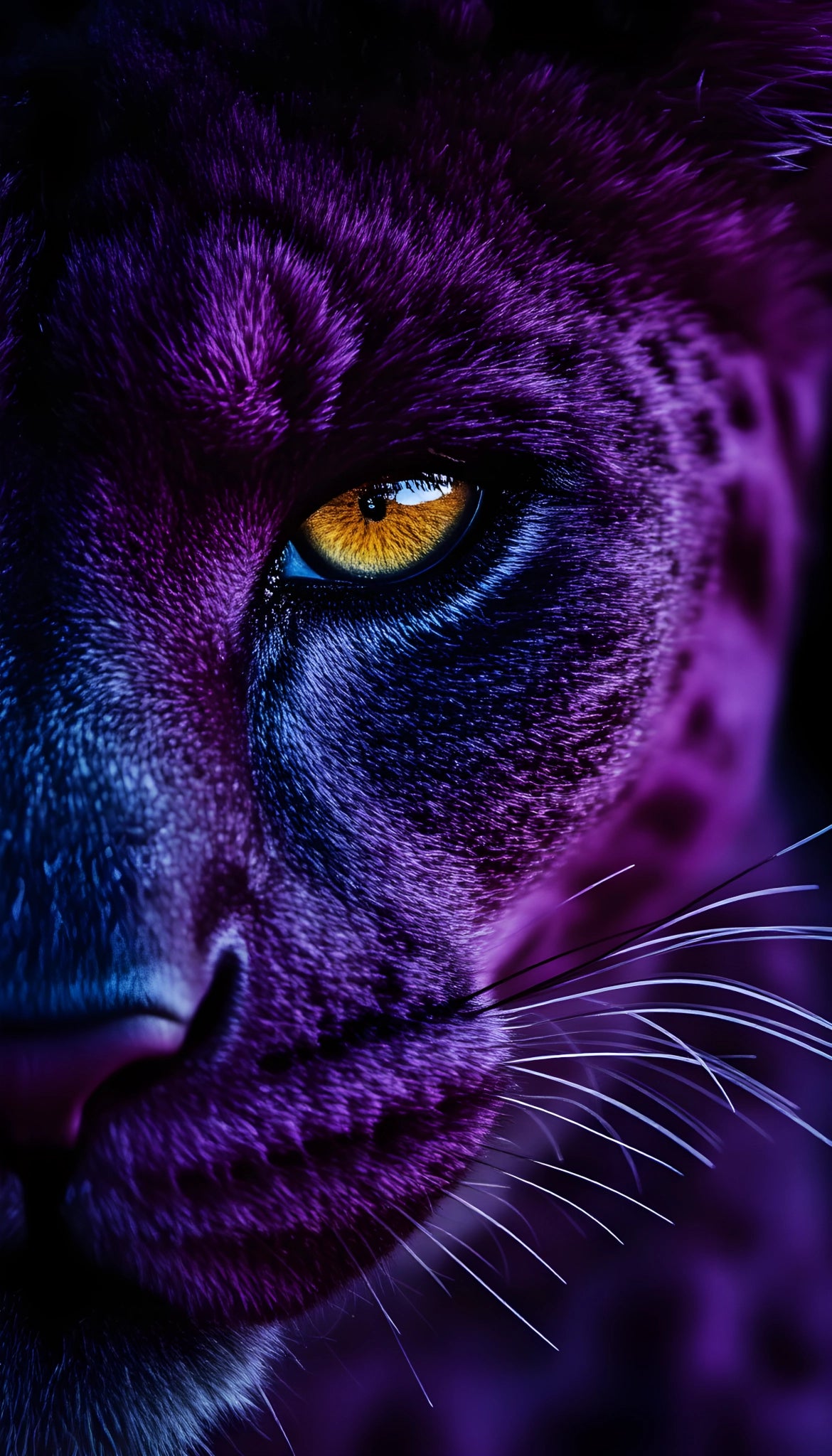 Mystical big cat acrylic wall art – Panther eye in violet blue – Powerful animal portrait for the living room